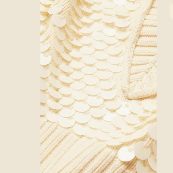 H&M Sequined Sweater Vest - Picture 9 of 14